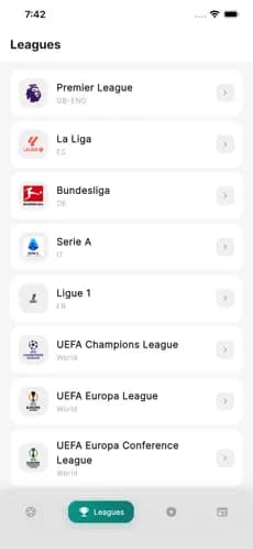 Football leagues list including Premier League, La Liga, Champions League on Fankick Football